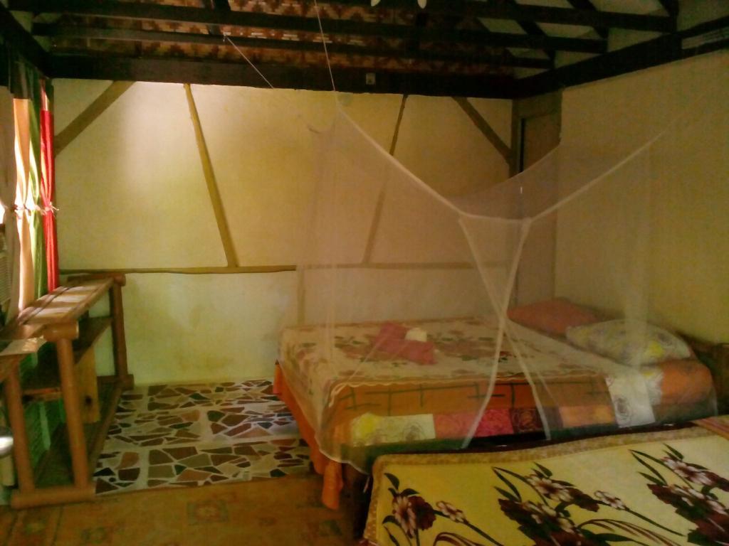 سيكويجور Buco Beach Resort المظهر الخارجي الصورة