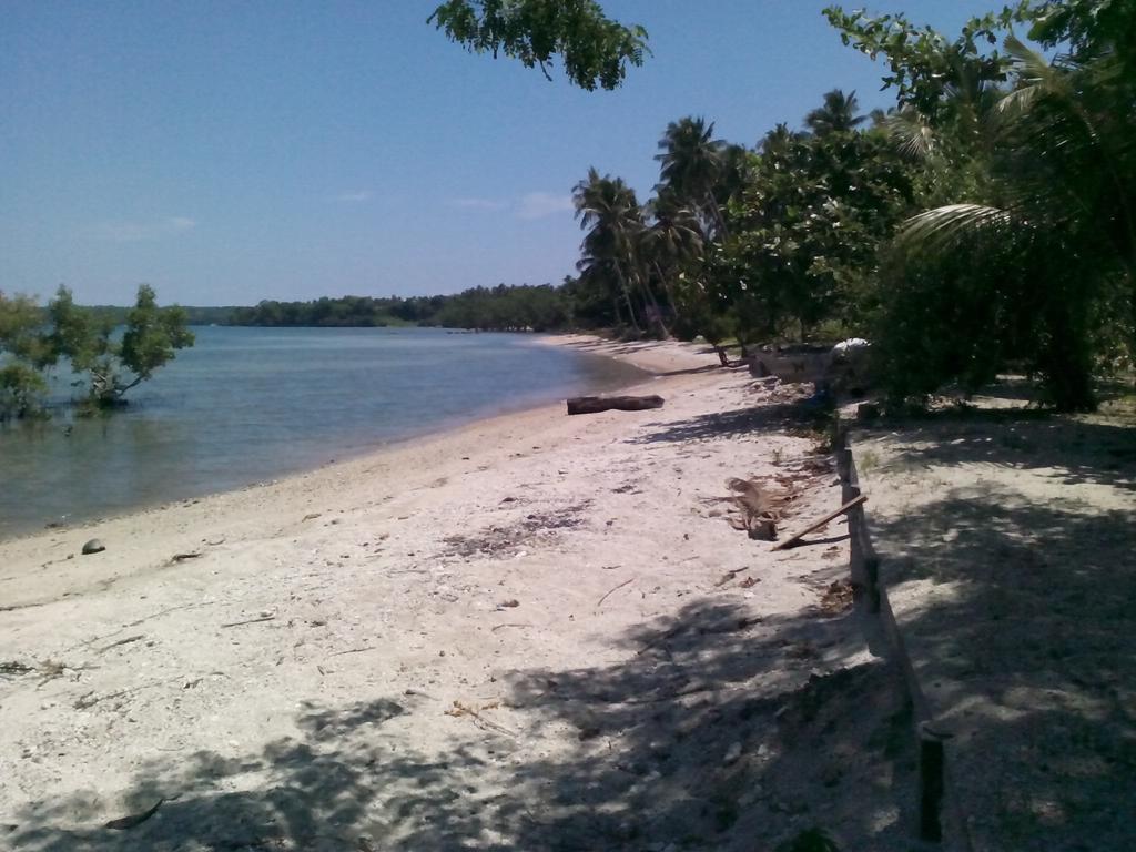 سيكويجور Buco Beach Resort المظهر الخارجي الصورة
